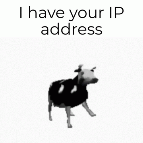 I Have Your IP Address